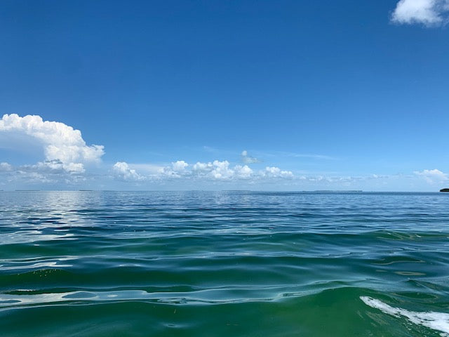The Florida Keys: A Place to Escape; Tavernier Edition